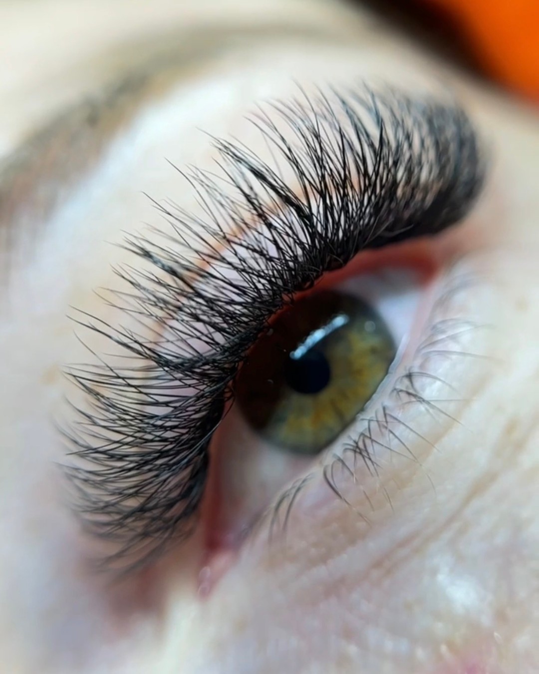 3D Volume lash extension close-up