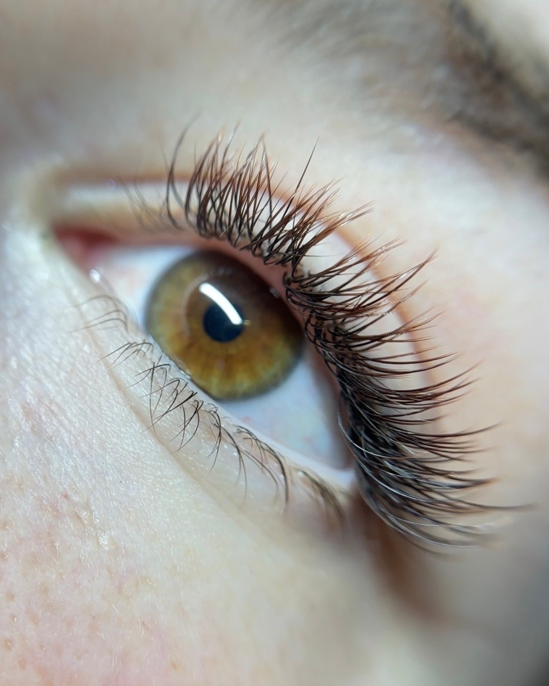 Brown Classic Kitten Eye lash extension set