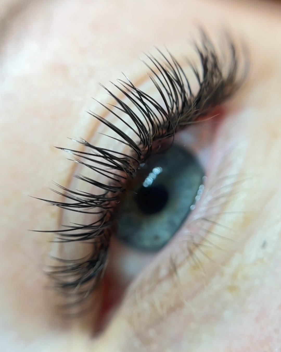 Classic Kitten Eye lash extension close-up