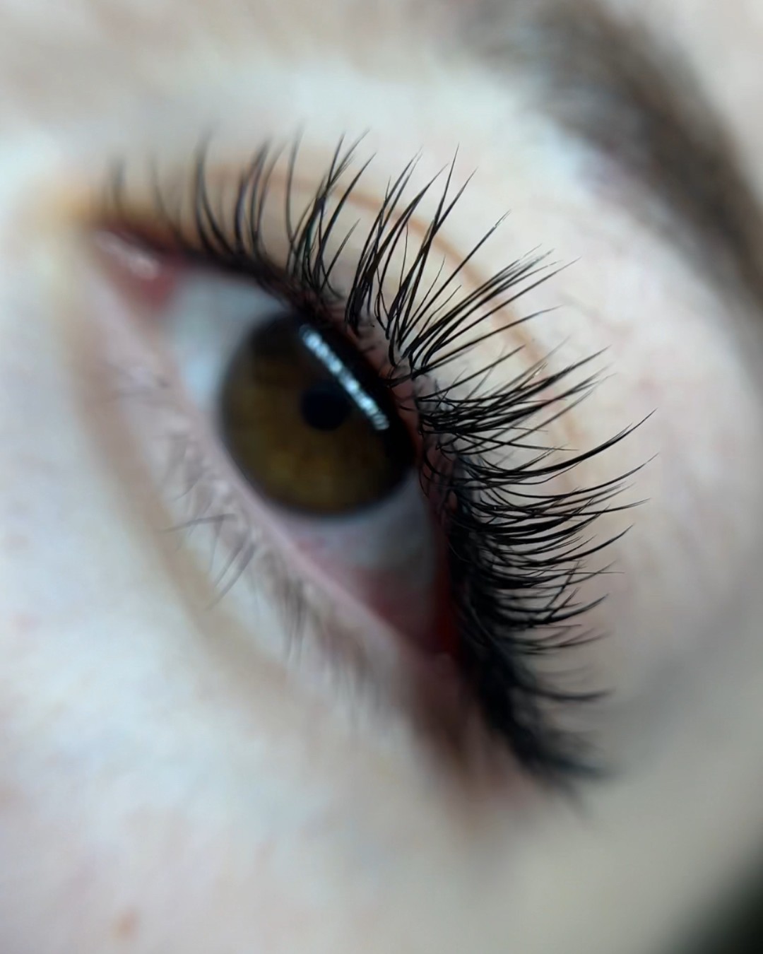 Classic Open Eye lash extension close-up